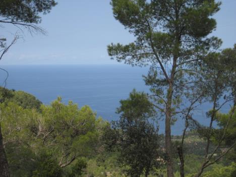 Mallorca 0090.jpg   27kb   26.03.2021 22:38:49